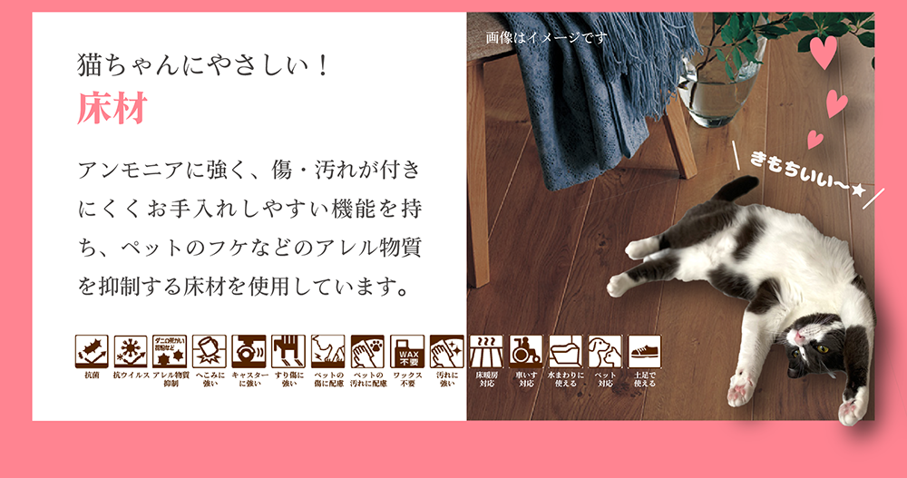 猫ちゃんにやさしい！床材
											 アンモニアに強く、傷・汚れが付きにくくお手入れしやすい機能を持ち、
											 ペットのフケなどのアレル物質を抑制する床材を使用しています。
